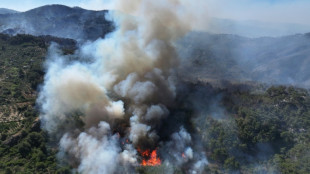 Feux de for&ecirc;ts: la Syrie appelle l'UE &agrave; l'aide