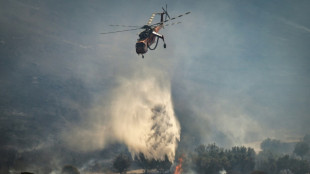Heatwave across the Med sparks health and fire warnings