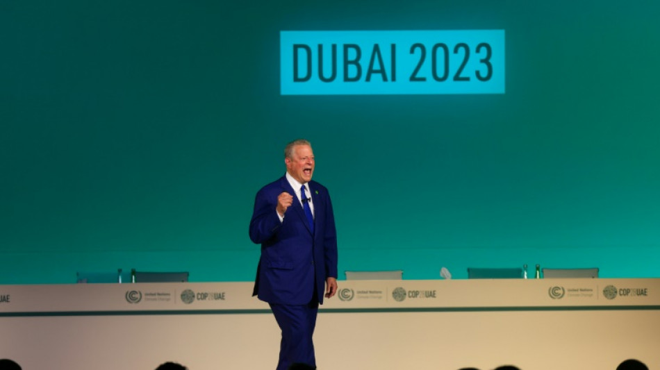 Ex-US-Vizepr&auml;sident Gore prangert bei Klimakonferenz Emirate wegen Emissionen an