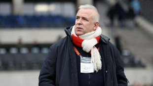 Union-Boss Zingler warnt DFB: Fan-Annäherung "dauert Jahre"