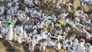 Peregrinos mu&ccedil;ulmanos rezam no Monte Arafat, momento crucial do hajj 