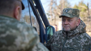 Zelensky remplace le populaire chef de son arm&eacute;e Zaloujny
