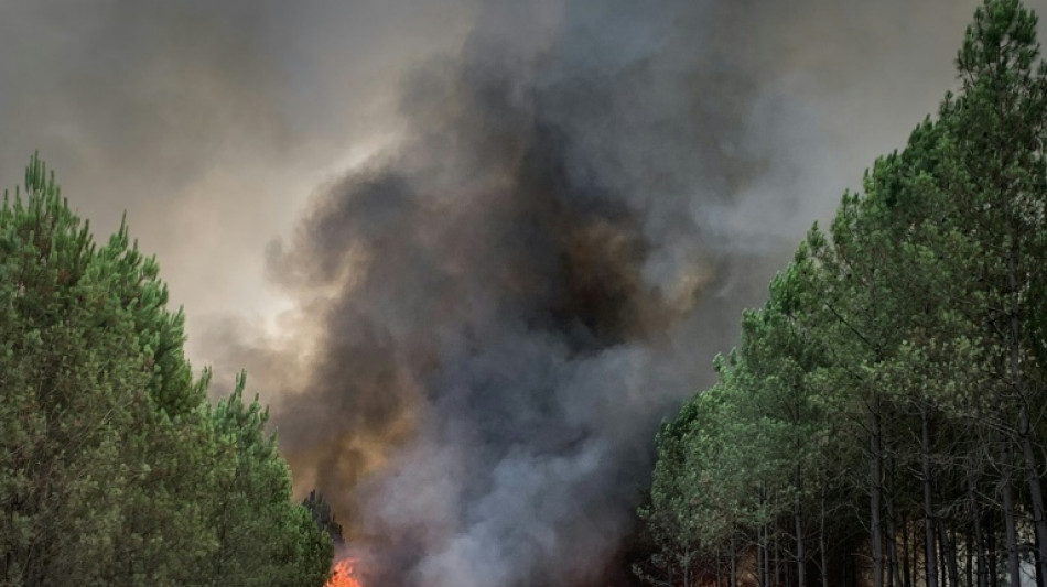 Reprises d'incendies près de Landiras, en Gironde: 6.000 hectares brûlés