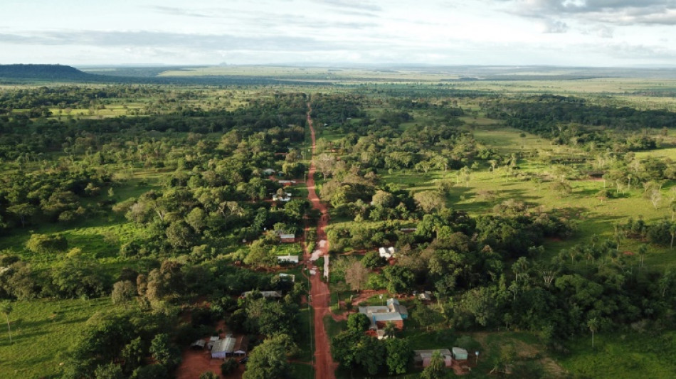 EPP, la peque&ntilde;a guerrilla que a&uacute;n siembra temor en Paraguay