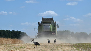 EU und Ukraine einigen sich auf Handelsabkommen f&uuml;r Agrarprodukte