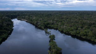 Biodiversit&eacute; au Br&eacute;sil: course contre la montre des scientifiques en Amazonie