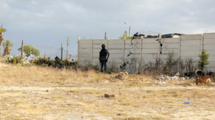 Sud&aacute;frica prev&eacute; desplegar al ej&eacute;rcito durante un a&ntilde;o frente al crimen organizado