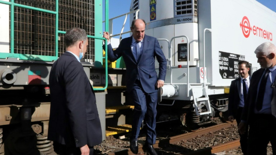 D&eacute;carbonation des transports: l'Occitanie inaugure l'autoroute ferroviaire S&egrave;te-Calais
