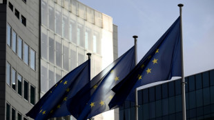 Vigilance environnementale des grandes entreprises: l'UE reporte encore la loi, en 2029