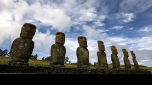 Le coste di Rapa Nui sotto attacco dei rifiuti, dati raddoppiati