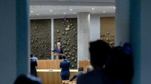 Pa&iacute;ses Bajos convoca elecciones anticipadas el 29 de octubre tras la ca&iacute;da del gobierno