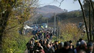 Dermatose: extension de la vaccination en Occitanie, sur fond de colère agricole