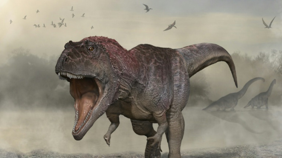 Descubren en Argentina nueva especie de dinosaurio de enorme cabeza y peque&ntilde;os brazos
