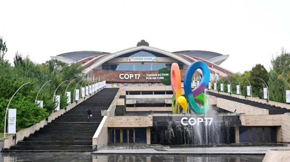 COPs s&atilde;o um 'monte de bobagens', afirma o Panam&aacute;, que quer sediar a pr&oacute;xima reuni&atilde;o