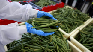 Compensaci&oacute;n justa o conocimiento libre: genes secuenciados se cuelan en la COP16