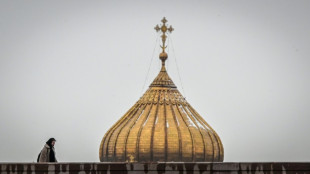 Ante la penuria de inform&aacute;ticos, Rusia facilitar&aacute; los permisos de residencia