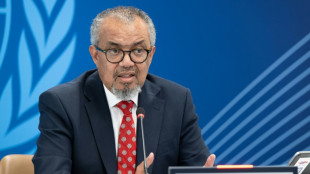 Ilhas Can&aacute;rias se preparam para chegada do cruzeiro com surto de hantav&iacute;rus