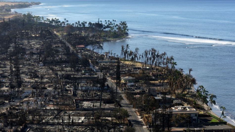 Hava&iacute; anuncia acordo bilion&aacute;rio para encerrar processos por inc&ecirc;ndios florestais