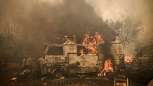 Mudanças no clima aumentam em 25% riscos de incêndios florestais extremos (estudo)