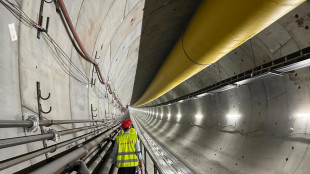 Tunnel Brennero, 'accesso in Baviera collo di bottiglia'