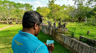 Le Sri Lanka recense les animaux sauvages nuisibles aux r&eacute;coltes agricoles