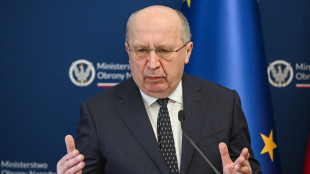 Kubilius, 'Usa non in grado di fornire Patriot sia al Golfo che a Kiev'