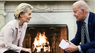Biden und von der Leyen sprechen über Subventionen und Ukraine-Krieg