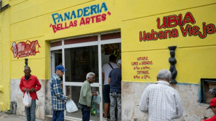 El sector privado seguirá "ampliándose" en Cuba, afirma Díaz-Canel
