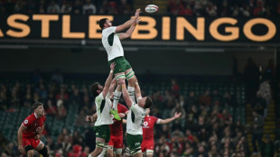 Gloucester sign Springbok World Cup-winner Kleyn