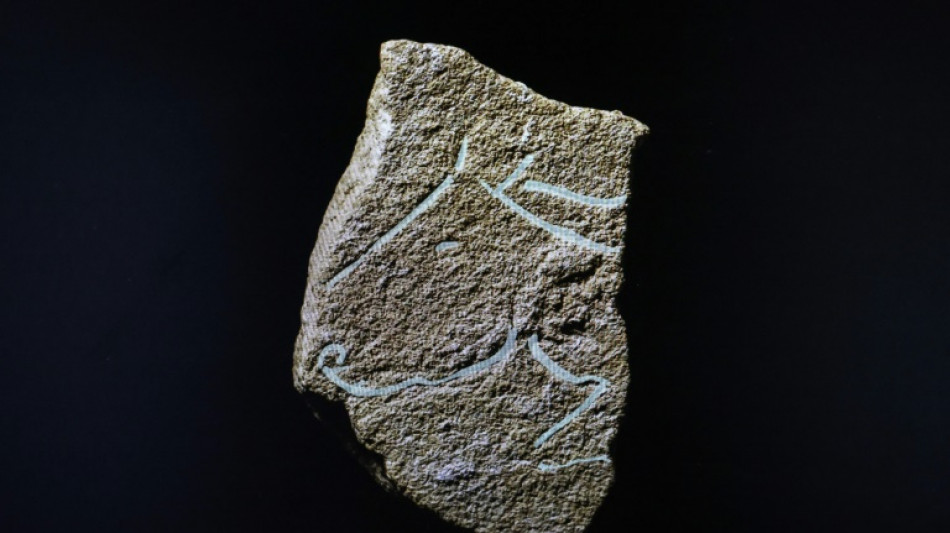 Descubren grabados prehist&oacute;ricos de la misma &eacute;poca que los de la cueva francesa de Lascaux 