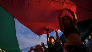 Israel afirma que impedir&aacute; que la flotilla para Gaza rompa el bloqueo del territorio