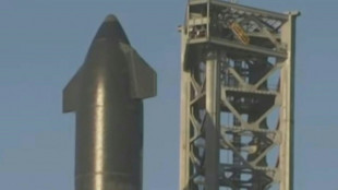 EUA denuncia SpaceX por discrimina&ccedil;&atilde;o trabalhista contra refugiados