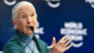 Cambio clim&aacute;tico se acerca al "punto de no retorno", dijo la primat&oacute;loga Jane Goodall
