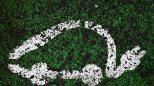 "Leasing social": 90.000 pr&eacute;-inscrits, la premi&egrave;re voiture &eacute;lectrique &agrave; 100 euros par mois livr&eacute;e