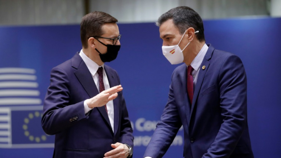 Polonia y Hungr&iacute;a bloquean el acuerdo de la UE sobre un impuesto m&iacute;nimo a las grandes empresas