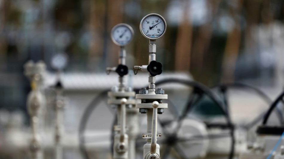 Mutma&szlig;licher Drahtzieher von Nord-Stream-Sprengungen festgenommen