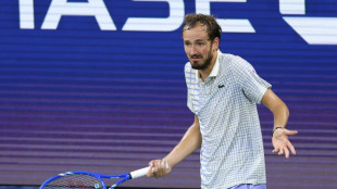 US Open: Medvedev en col&egrave;re contre la "d&eacute;cision" de l'arbitre et non le photographe qui l'a caus&eacute;e