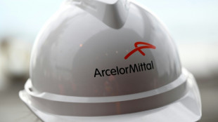 Nationaliser ArcelorMittal pour sauver la sid&eacute;rurgie ? La proposition de LFI examin&eacute;e &agrave; l'Assembl&eacute;e