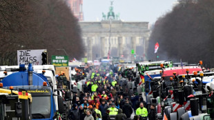 Des milliers de tracteurs dans Berlin, les agriculteurs ne d&eacute;col&egrave;rent pas