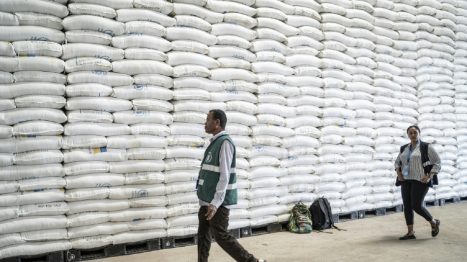 PMA suspende parte da ajuda alimentar &agrave; Eti&oacute;pia por desvios