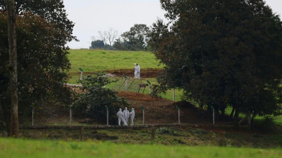 M&eacute;xico y Chile suspenden importaci&oacute;n de pollo brasile&ntilde;o por brote de gripe aviar