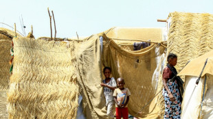 La ONU recauda apenas el 12% de lo solicitado para ayudar a Sudán