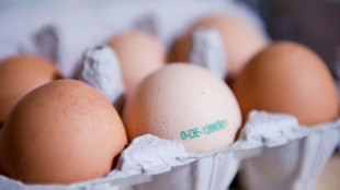 Durch Lebensmittel ausgel&ouml;ste Erkrankungen: Zahl der Ausbr&uuml;che deutlich gestiegen