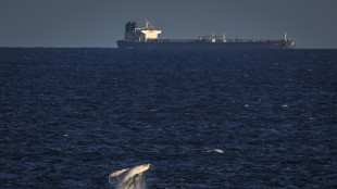 "Pens&eacute; que me hab&iacute;a comido": un kayakista atrapado en las fauces de una ballena en Chile