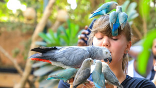 Santuario vegetal acoge aves ex&oacute;ticas en la capital de Sud&aacute;n
