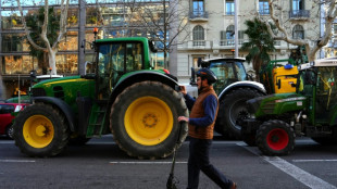 Los agricultores espa&ntilde;oles se movilizan por tercer d&iacute;a consecutivo