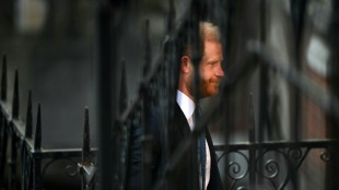 El pr&iacute;ncipe Enrique apela para recuperar la custodia policial en Reino Unido