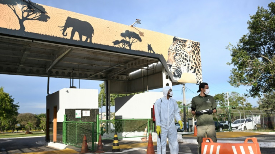 Brasilia confirma un caso de gripe aviar en un zool&oacute;gico