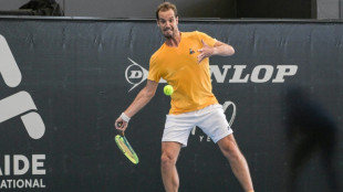 Tennis: Gasquet en finale &agrave; Auckland, quatre ans et demi apr&egrave;s Bois-le-Duc 