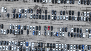 Stellantis a novembre in Europa -2,7% di auto vendute